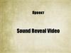 Проект. Sound reveal video