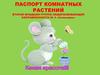 Паспорт комнатных растений. Комнатные растения в детском саду
