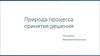 Природа процесса принятия решения