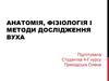 Анатомія, фізіологія і методи дослідження вуха