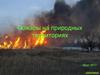 Пожары на природных территориях