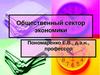 Общественный сектор экономики.