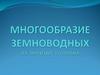 Многообразие земноводных. Их значение и охрана