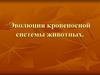 Эволюция кровеносной системы животных