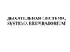 Дыхательная система