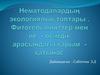 Нематодалардың экологиялық топтары . Фитогельминттер мен ие - өсімдік арасындағы қарым - қатынас