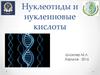 Нуклеотиды и нуклеиновые кислоты