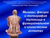 Мышцы, фасции и топография туловища в функциональном и клиническом аспектах