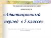 Психолого-педагогический консилиум «Адаптационный период в 5 классе»