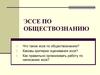 Эссе по обществознанию
