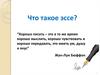 Что такое эссе