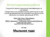 Аттестационная работа. Мыльное чудо