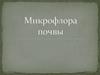 Микрофлора почвы