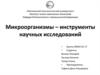 Микроорганизмы – инструменты научных исследований