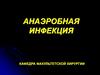 Анаэробная  инфекция