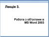 Робота з об'єктами в MS Word 2003