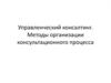 Управленческий консалтинг. Методы организации консультационного процесса