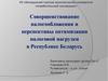 Совершенствование налогообложения и перспективы оптимизации налоговой нагрузки в Республике Беларусь