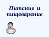 Питание и пищеварение. В чем состоит значение питания. Какие системы обеспечивают питание