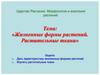 Жизненные формы растений. Растительные ткани