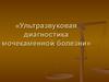 Ультразвуковая диагностика мочекаменной болезни