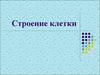 Строение клетки