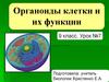 Органоиды клетки и их функции