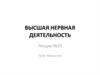 Высшая нервная деятельность по Павлову И.П