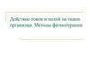Действие токов и полей на ткани организма. Методы физиотерапии