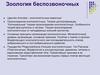 Зоология беспозвоночных. Царство Animalia – многоклеточные животные