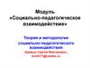 Социально-педагогическое взаимодействие