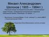 Михаил Александрович Шолохов ( 1905 – 1984гг.)