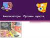 Анализаторы. Органы чувств
