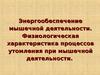Энергообеспечение мышечной деятельности