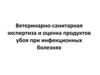 Ветеринарно-санитарная экспертиза и оценка продуктов убоя при инфекционных болезнях