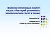 Влияние гуминовых кислот на рост бактерий различных экологических групп в почве