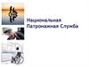 Национальная патронажная служба