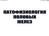 Патофизиология половых желез