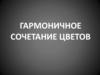 Гармоничное сочетание цветов