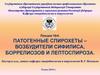Патогенные спирохеты – возбудители сифилиса, боррелиозов и лептоспироза