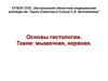 Основы гистологии. Ткани: мышечная, нервная