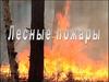 Лесные пожары