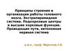 Принципы строения и организации работы головного мозга. Экстрапирамидная система. Подкорковые центры и высшие корковые функции