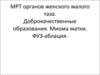 МРТ органов женского малого таза. Доброкачественные образования. Миома матки. ФУЗ-аблация