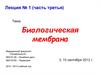 Биологическая мембрана