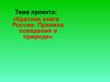 Красная книга России. Правила поведения в природе