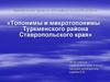 Топонимы и микротопонимы Туркменского района Ставропольского края