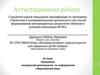 Аттестационная работа. Программа внеурочной деятельности по информатике «Виртуальный мир»