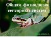 Общая физиология сенсорных систем