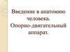Введение в анатомию человека. Опорно-двигательный аппарат